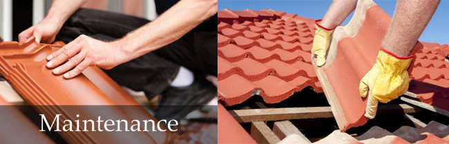 Tile Roof Maintenance: Brisbane Bayside, Redlands, Logan