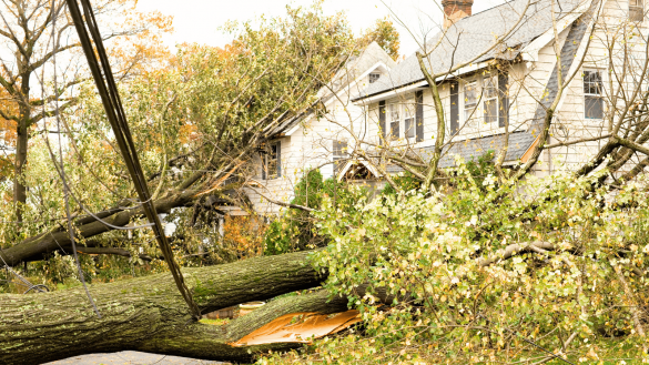 Emergency Tile Roof Restoration - Brisbane Bayside, Redlands