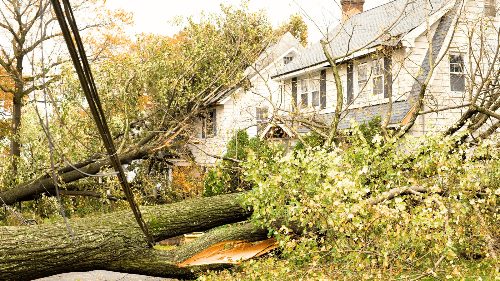 Emergency Tile Roof Restoration - Brisbane Bayside, Redlands