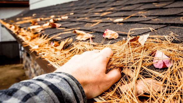 BAYSIDE ROOF RESORATION REPAIRS BRISBANE SUNSHINE COAST The Best Time of Year to Clean Your Tile or Metal Roof A Seasonal Guide-min Best Time of Year to Clean Your Tile or Metal Roof in Brisbane