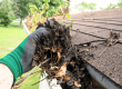 How Can I Safely Clean My Roof to Extend Its Lifespan