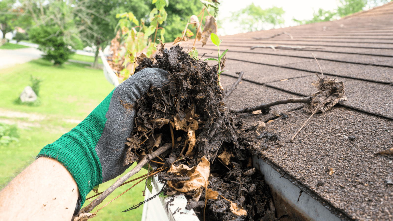 How Can I Safely Clean My Roof to Extend Its Lifespan